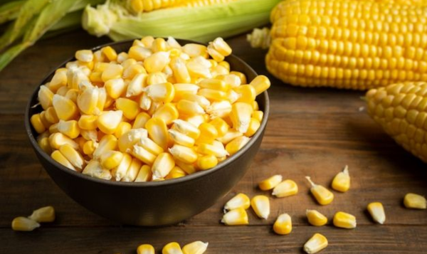 Maize (Corn)