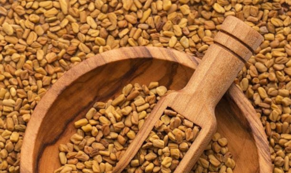 Fenugreek Seeds